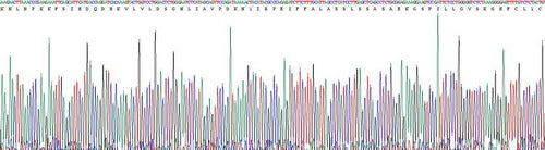 Recombinant Human Interleukin 1 Zeta (IL1z)