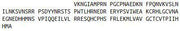 Recombinant Interleukin 17 (IL17), RPU42238