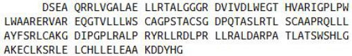 Recombinant Interleukin 17 Receptor E (IL17RE), RPU42249