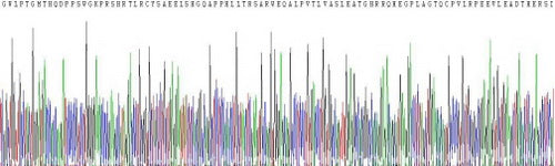 Recombinant Mouse Interleukin 17C (IL17C)