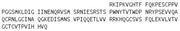 Recombinant Interleukin 17F (IL17F), RPU42254