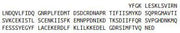 Recombinant Interleukin 18 (IL18), RPU42255