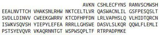 Recombinant Interleukin 2 Receptor Beta (IL2Rb), RPU42272