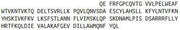 Recombinant Interleukin 24 (IL24), RPU42283