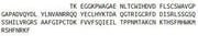 Recombinant Interleukin 3 Receptor Alpha (IL3Ra), RPU42290