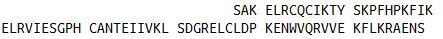 Recombinant Interleukin 8 (IL8), RPU42329