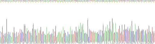 Recombinant Human Islet Cell Autoantigen 1 (ICA1)