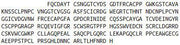 Recombinant Jagged 2 Protein (JAG2), RPU42346