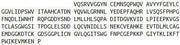 Recombinant Kallikrein 1 (KLK1), RPU42357