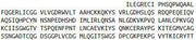 Recombinant Kallikrein 8 (KLK8), RPU42368