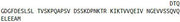 Recombinant Cytokeratin 12 (CK12), RPU42378