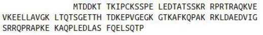 Recombinant Ki-67 Protein (Ki-67), RPU42412