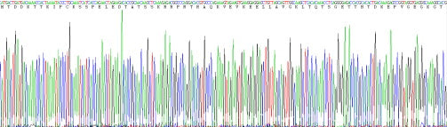 Recombinant Human Ki-67 Protein (Ki-67)