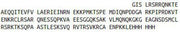 Recombinant Ki-67 Protein (Ki-67), RPU42413
