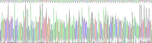Recombinant Human Ki-67 Protein (Ki-67)