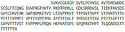 Recombinant Kidney Injury Molecule 1 (Kim1), RPU42414
