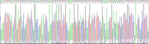 Recombinant Human Killer Cell Lectin Like Receptor Subfamily D, Member 1 (KLRD1)
