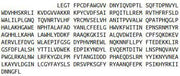 Recombinant Klotho (KL), RPU42433
