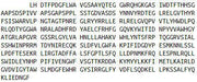 Recombinant Klotho (KL), RPU42434
