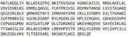 Recombinant Lactate Dehydrogenase A (LDHA), RPU42443