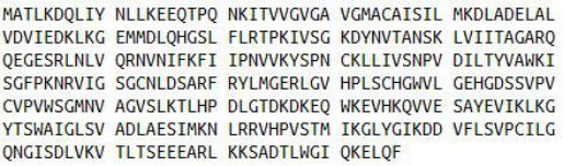 Recombinant Lactate Dehydrogenase A (LDHA), RPU42443