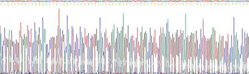 Recombinant Mouse Laminin Alpha 2 (LAMa2)