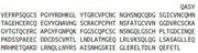 Recombinant Laminin Alpha 3 (LAMa3), RPU42466