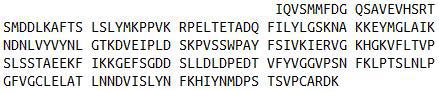 Recombinant Laminin Alpha 4 (LAMa4), RPU42467