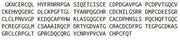 Recombinant Laminin Beta 3 (LAMb3), RPU42475
