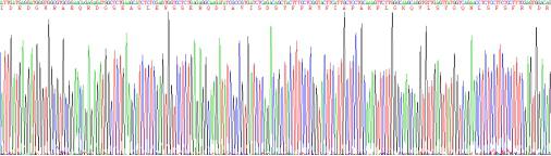 Recombinant Human Laminin Gamma 1 (LAMC1)