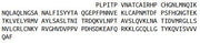 Recombinant Leukemia Inhibitory Factor (LIF), RPU42523