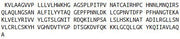 Recombinant Leukemia Inhibitory Factor (LIF), RPU42524