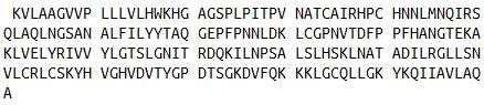 Recombinant Leukemia Inhibitory Factor (LIF), RPU42524