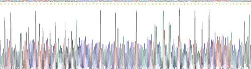 Recombinant Human Leukemia Inhibitory Factor (LIF)