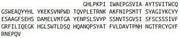 Recombinant Leukocyte Immunoglobulin Like Receptor Subfamily B, Member 4 (LILRB4), RPU42542