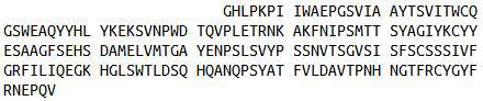 Recombinant Leukocyte Immunoglobulin Like Receptor Subfamily B, Member 4 (LILRB4), RPU42542