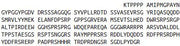 Recombinant Lipolysis Stimulated Lipoprotein Receptor (LSR), RPU42566