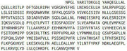 Recombinant Lipopolysaccharide Binding Protein (LBP), RPU42568