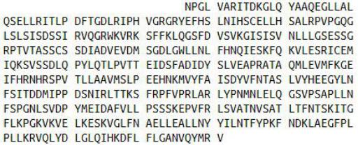 Recombinant Lipopolysaccharide Binding Protein (LBP), RPU42568