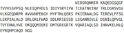 Recombinant Low Density Lipoprotein Receptor Related Protein 6 (LRP6), RPU42579