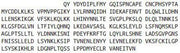 Recombinant Lumican (LUM), RPU42588