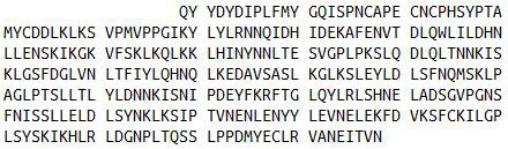 Recombinant Lumican (LUM), RPU42588
