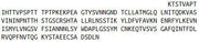 Recombinant Lysosomal Associated Membrane Protein 2 (LAMP2), RPU42615