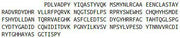 Recombinant Lysyl Oxidase (LOX), RPU42622