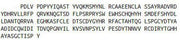 Recombinant Lysyl Oxidase (LOX), RPU42623