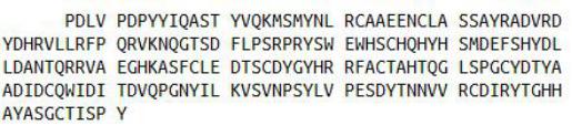 Recombinant Lysyl Oxidase (LOX), RPU42623