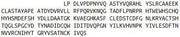 Recombinant Lysyl Oxidase Like Protein 1 (LOXL1), RPU42624