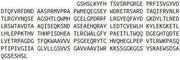 Recombinant Major Histocompatibility Complex Class I E (MHCE), RPU42664