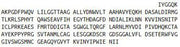Recombinant Mannose Associated Serine Protease 2 (MASP2), RPU42675