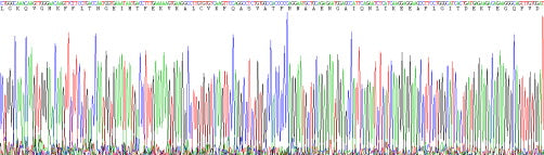 Recombinant Human Mannose Binding Lectin (MBL)